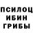 Галлюциногенные грибы Psilocybe Hevlin4ik