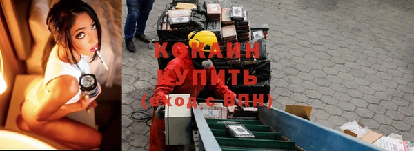 МДПВ Вяземский